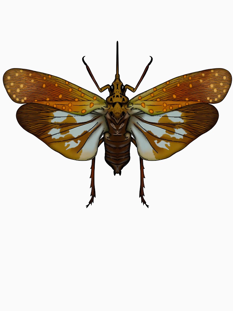 Golden Brown Moth – Vintage Exotic Insect Illustration by StickLabmoster