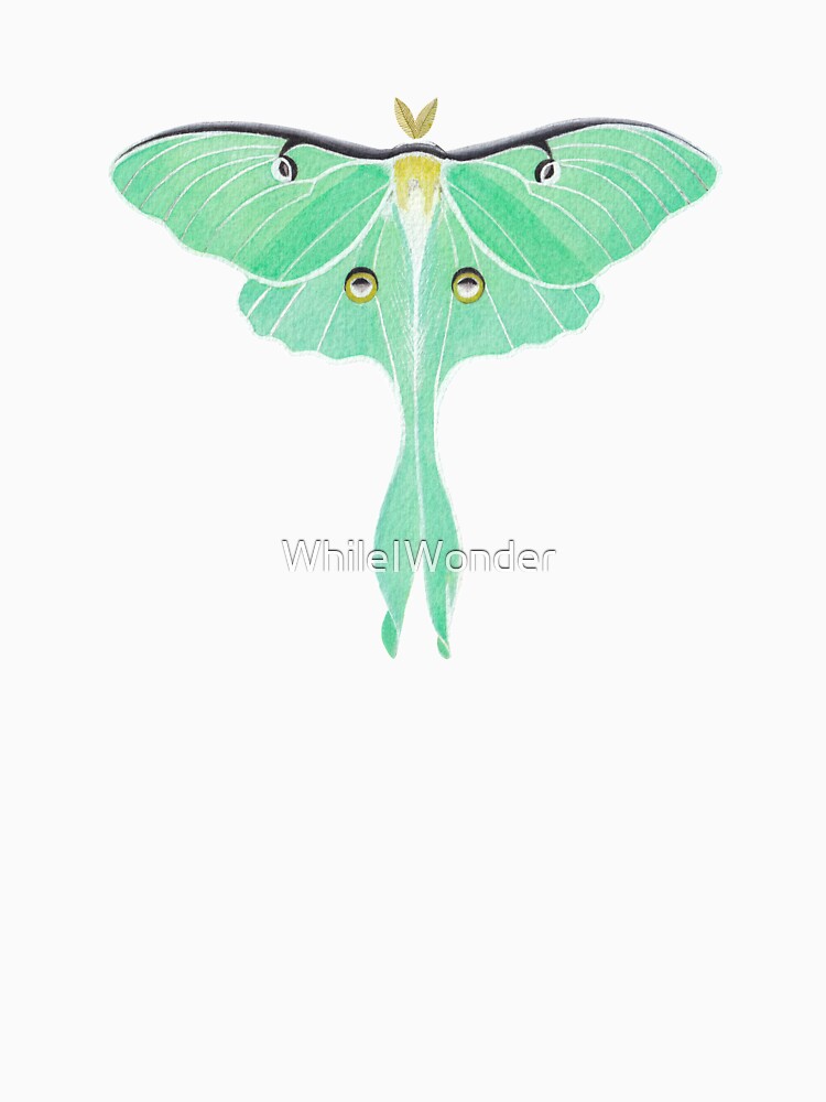 Luna Moth (Actias luna) watercolor painting by WhileIWonder
