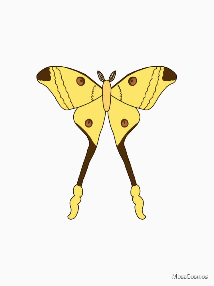 Comet moth by MossCosmos