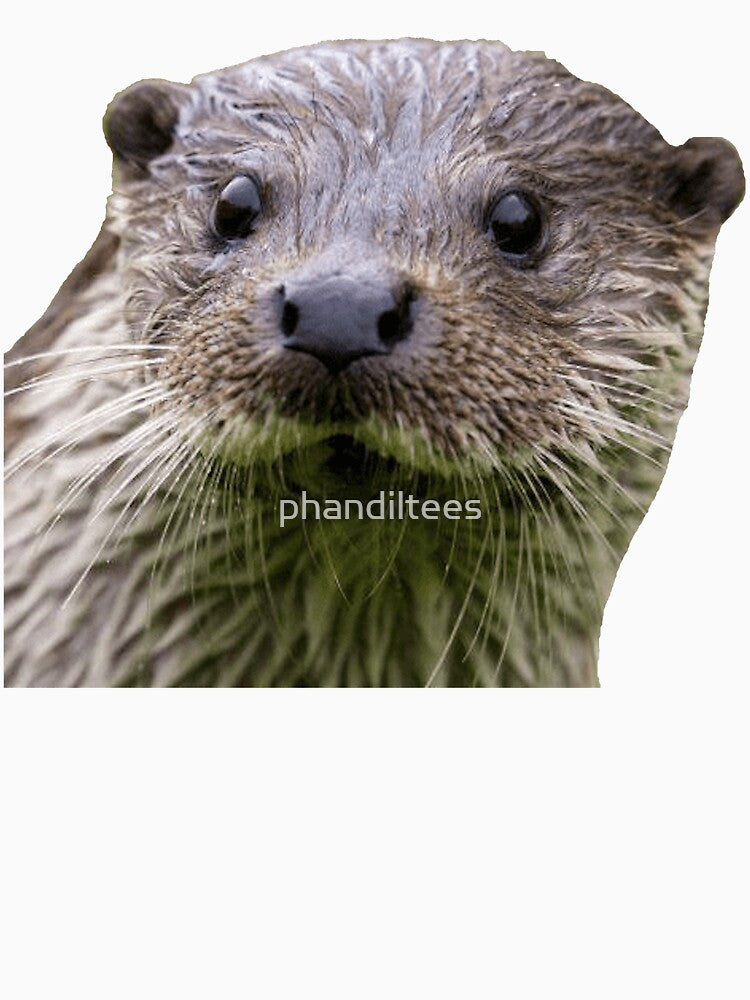 Otter by DoodleDashCollective