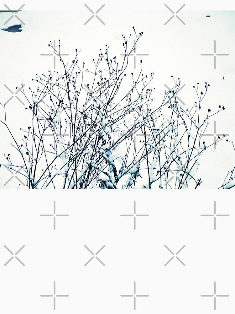 Snowy dry grass landscape photography | Grass with snow winter landscape by lausn