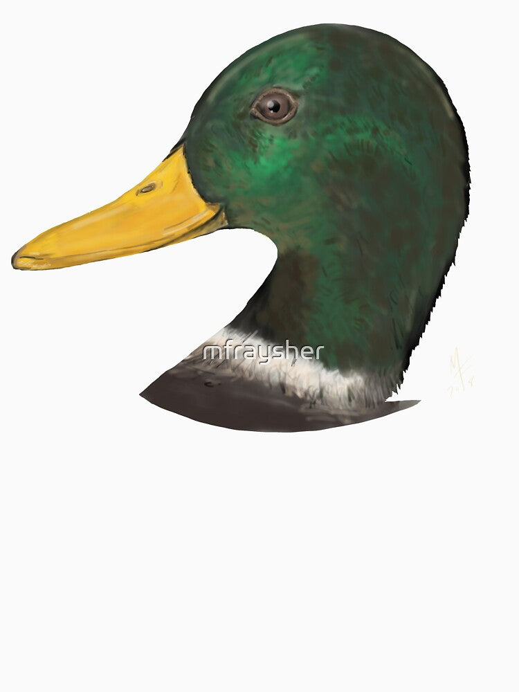 Drake Mallard Duck by mfraysher
