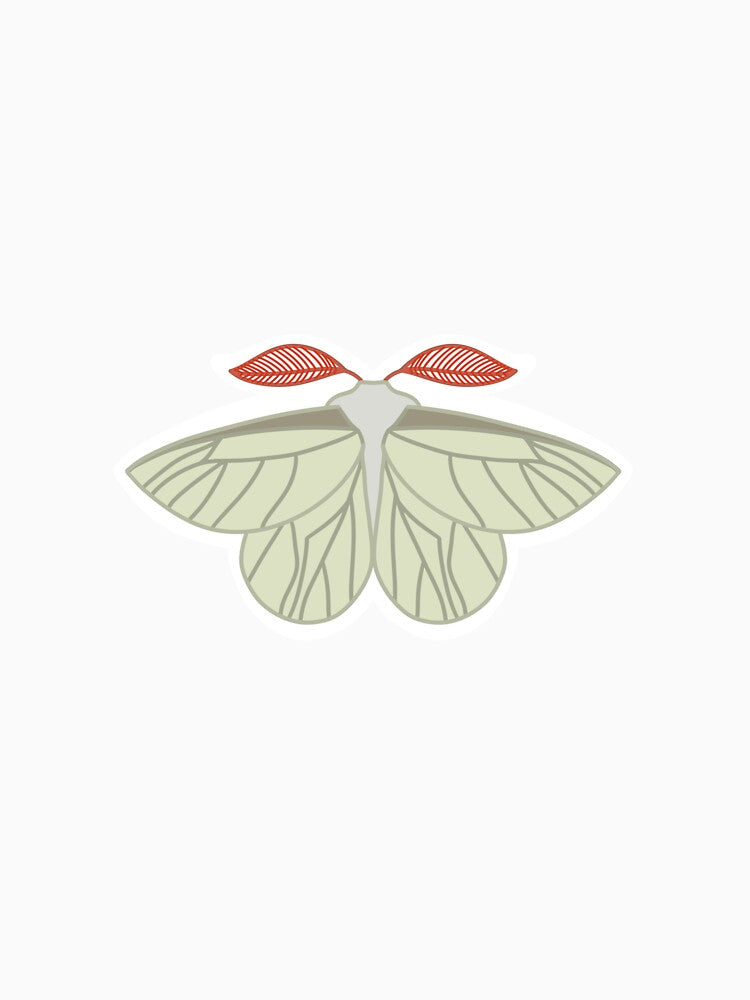 Rosy Crown Satin Moth by esther-hartopp