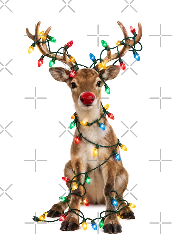 Christmas Lights Reindeer Rudolph Holiday Cheer by KokoDeez