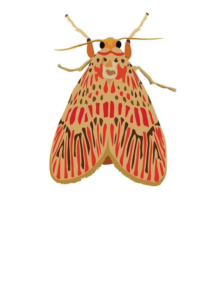 Orange Footman Moth by elmma design