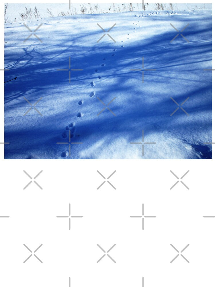 Winter vibes snow landscape |  Snow beauty with animal steps by lausn