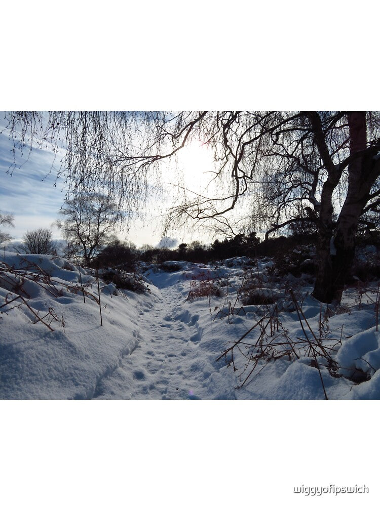 Winter Wonderland by wiggyofipswich