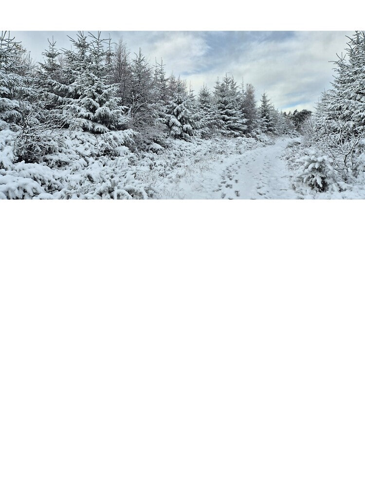 Winter wonderland by Derren Jones