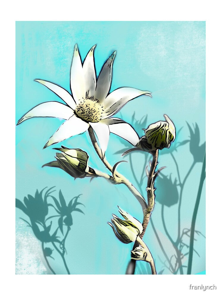 Flannel flowers with Aqua background by franlynch Unisex