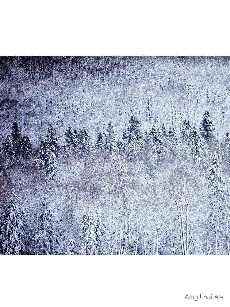 Winter Wonderland by Amy Louhela
