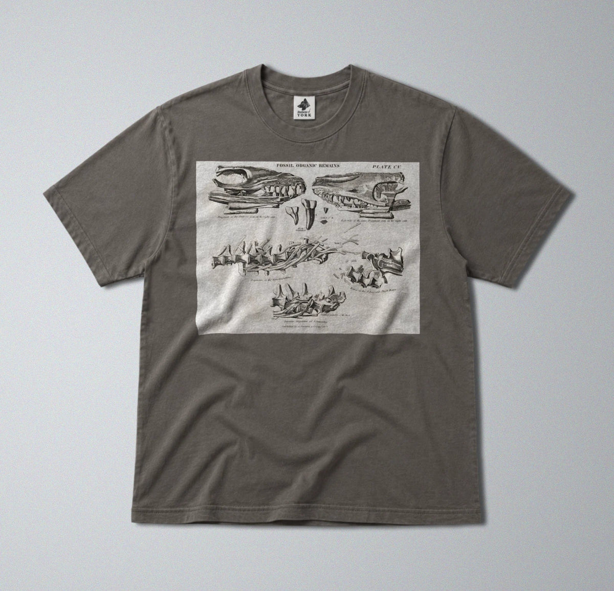 100% Cotton Tee - Regular Fit - Unisex - Prehistoric Mosasaurus Skull Fossil Unisex