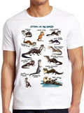 Otters of the World Design Animal Gamer Funny Joke Meme Gift Tee T Shirt M995