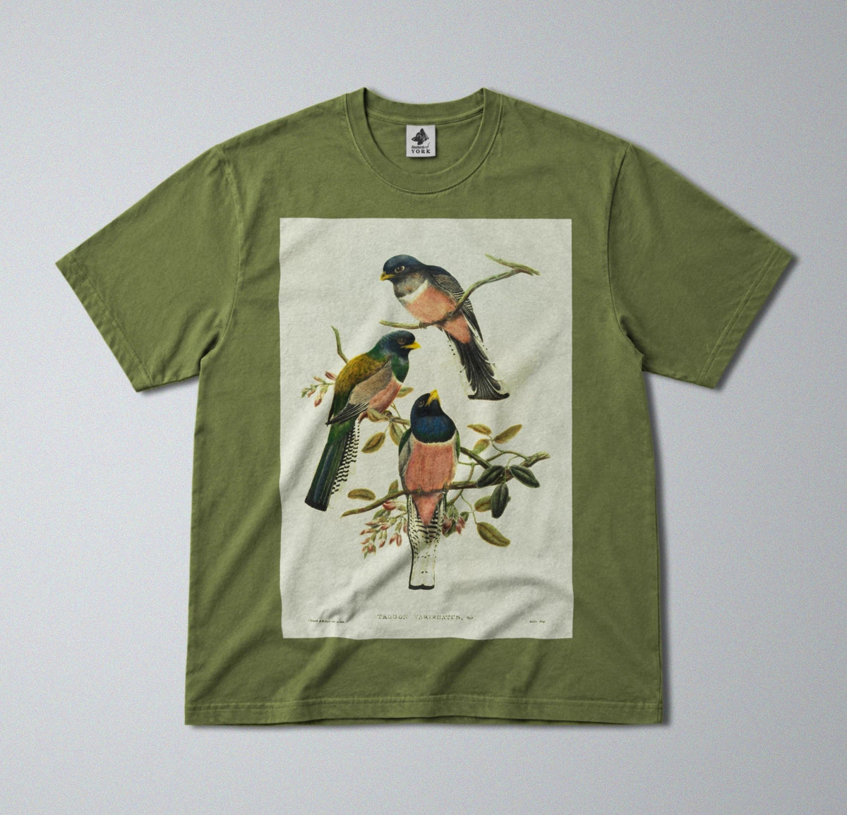 100% Cotton Tee - Regular Fit - Unisex - Colorful Perching Birds Print Unisex