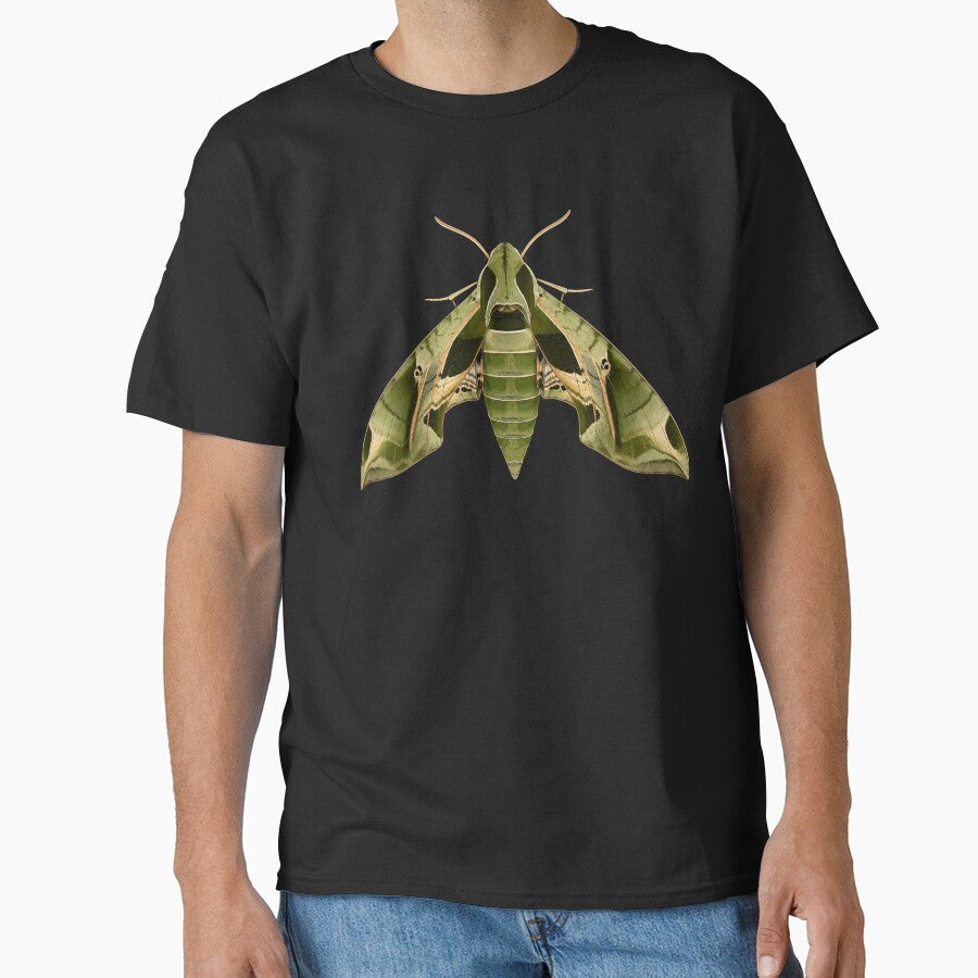 Pandora Sphinx Moth Eumorpha Pandorus Cartoon Style by Harpagann