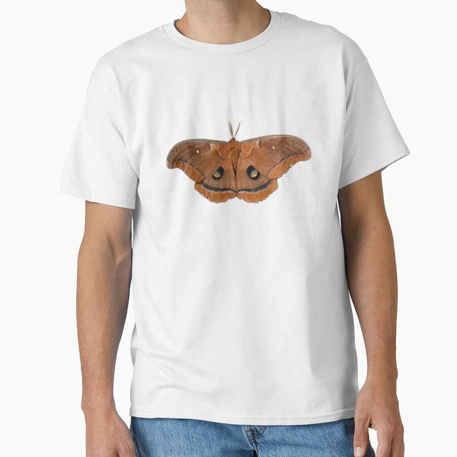 Polyphemus moth by Zina Stromberg