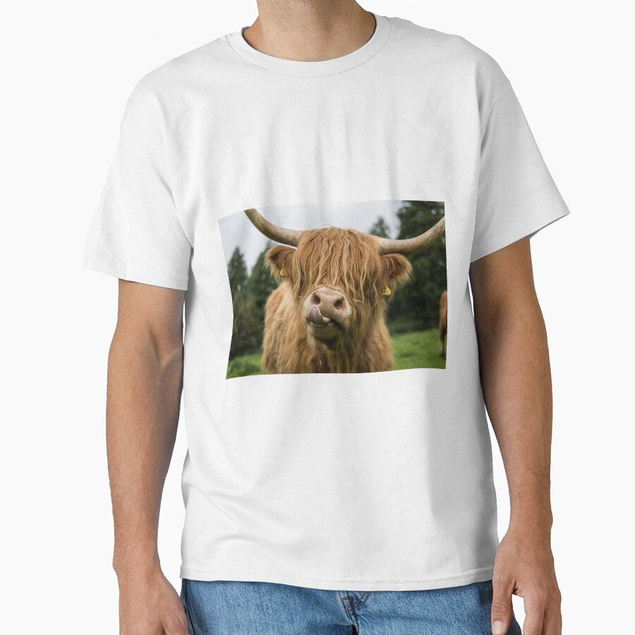 Highland Cow by Alex Sharp