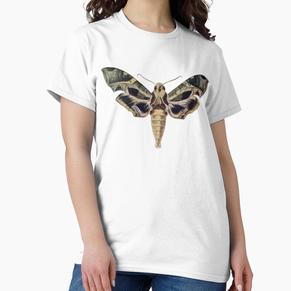Moth Illustration, Entomology by HawthorneFlame