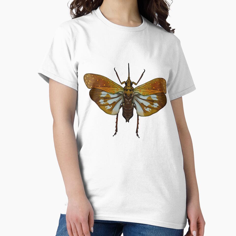 Golden Brown Moth – Vintage Exotic Insect Illustration by StickLabmoster