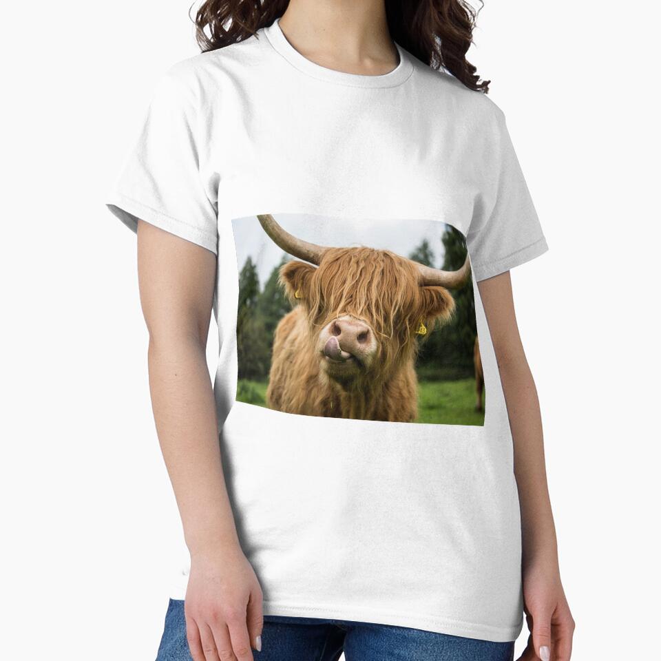 Highland Cow by Alex Sharp
