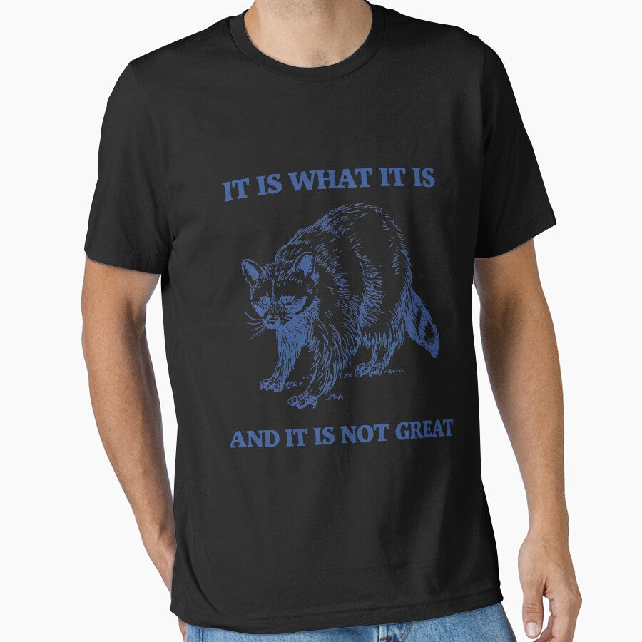Raccoon It Is What It Is And It Is Not Great by MattCollinsShop
