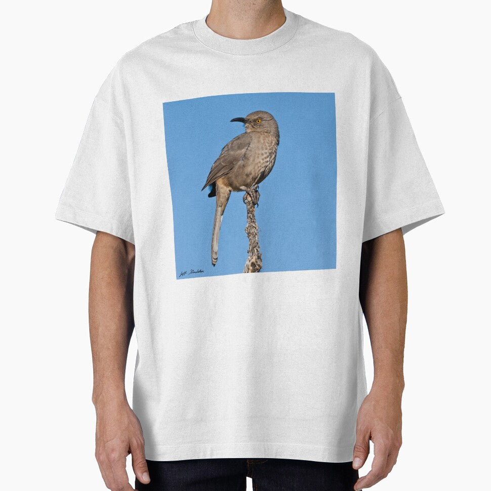 Curve-Billed Thrasher by Jeff Goulden Photography Unisex
