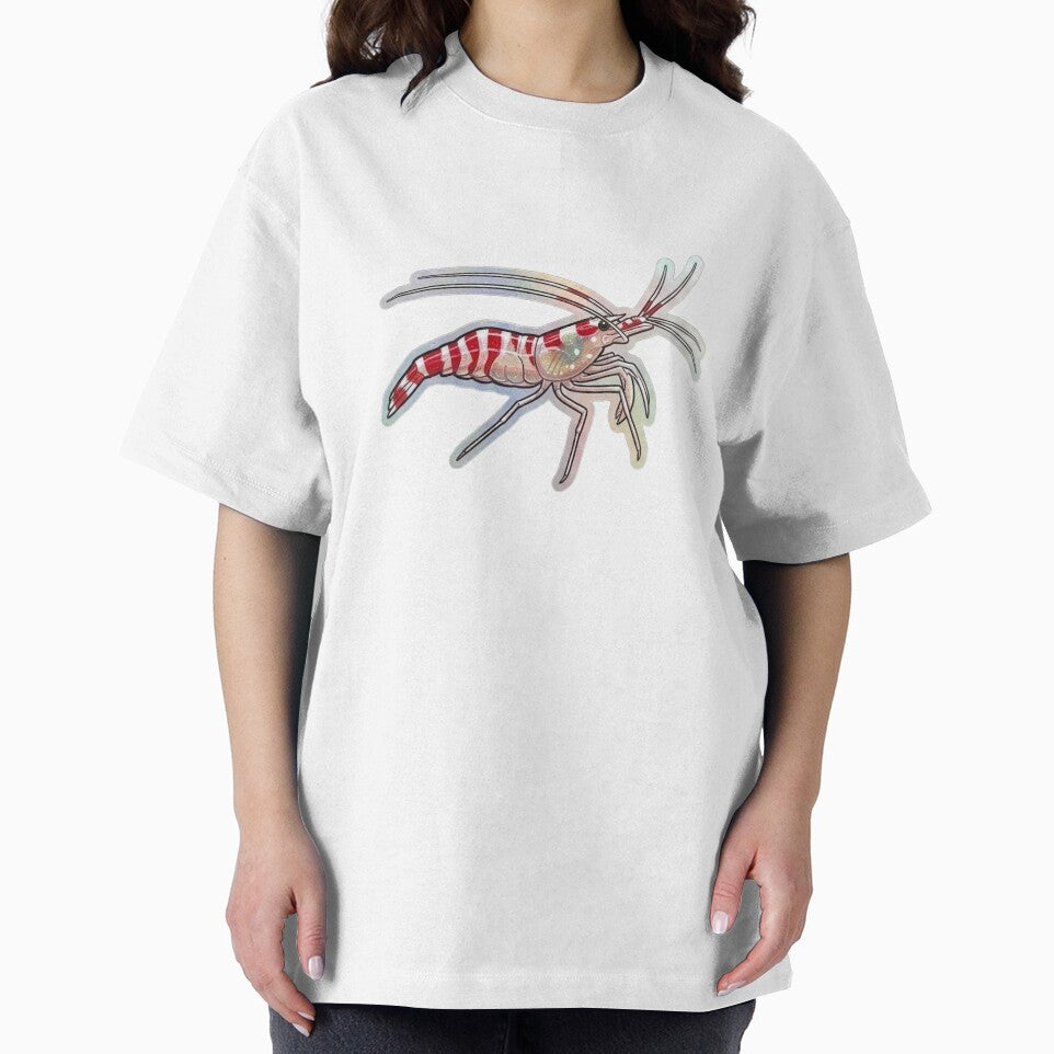 Candy Cane Shrimp Red White Reef Illustration by KenworksDigital