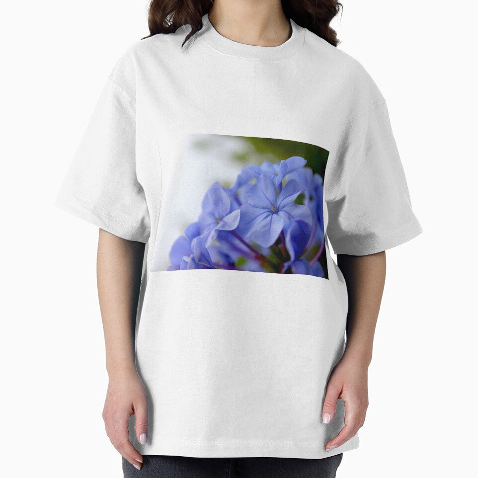 Create beauty by equilibrio