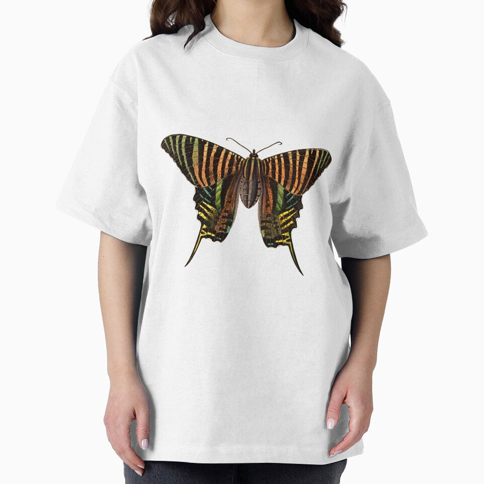 Big Moth by Reethes