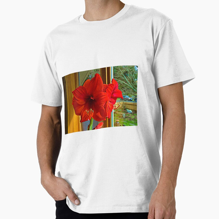 Holiday harbinger: Red Amaryllis by KateMcCSeattle