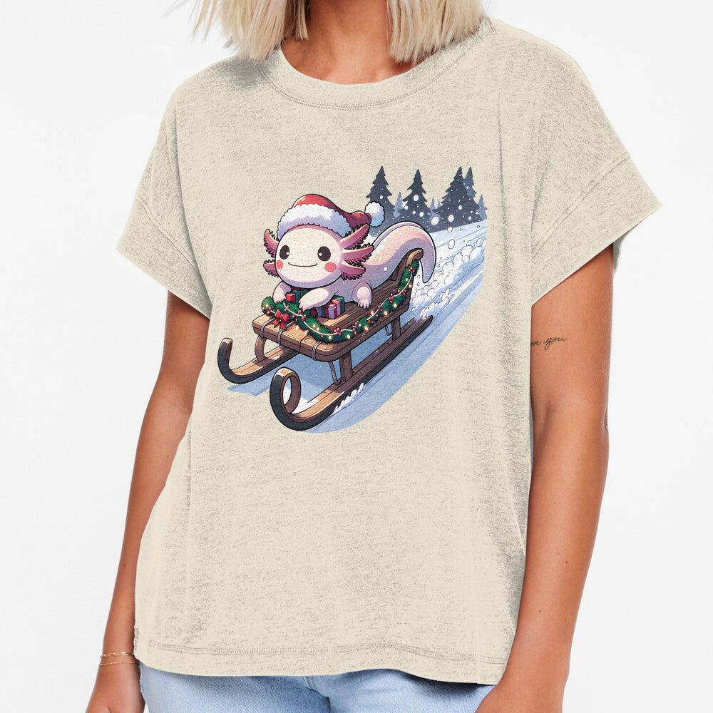 Axolotl Christmas Sleigh by Mekone