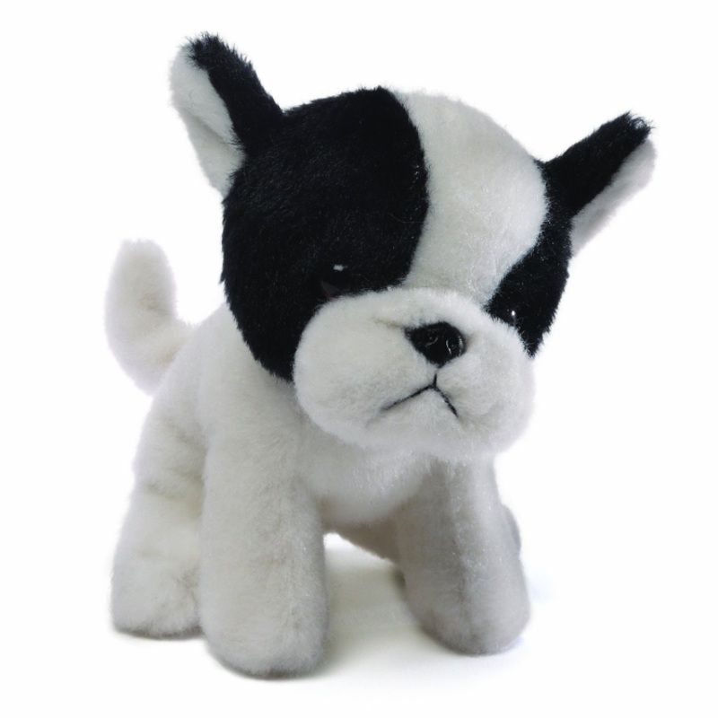 Teacup Puppies – Tess (miniature French bulldog)